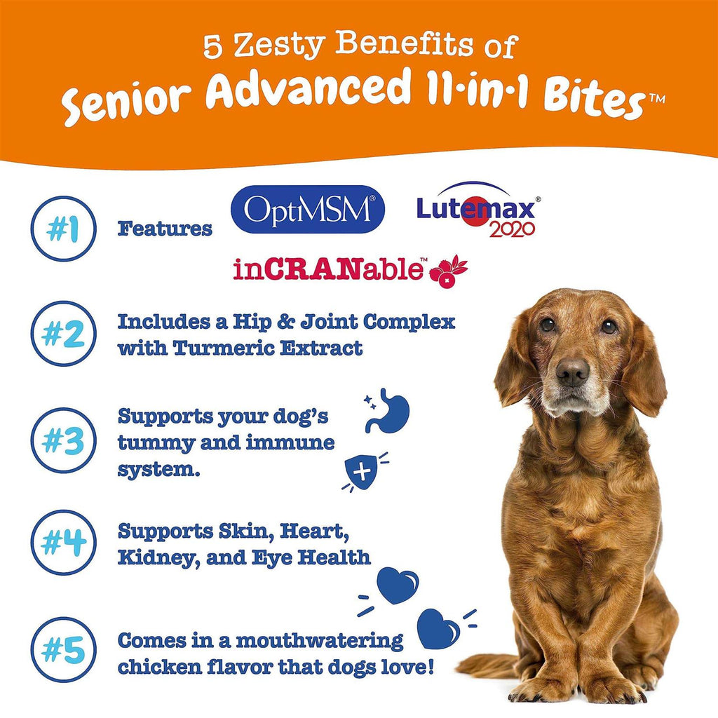 Multivitamin Bites for Dogs H800