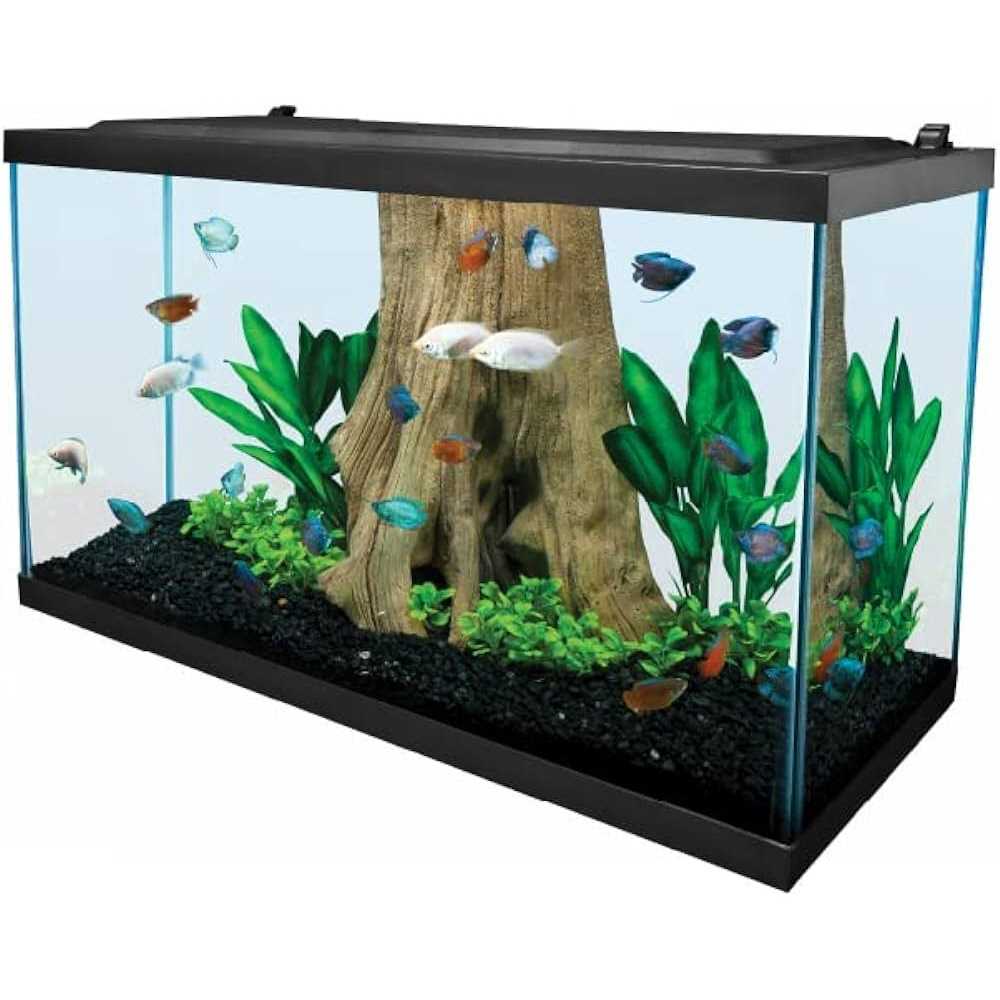 29 Gallon Glass LED Aquarium Kit U457