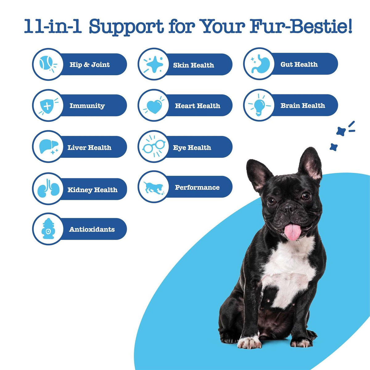 Multivitamin Bites for Dogs H800