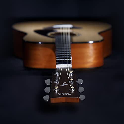 Natural Solid Top Acoustic Guitar V1709