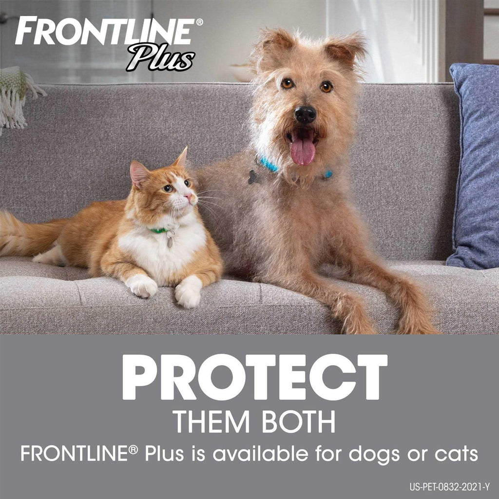 Flea Tick Dogs Q968848