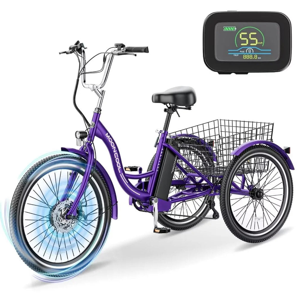 3 Wheel 500W Electric Trike C160511
