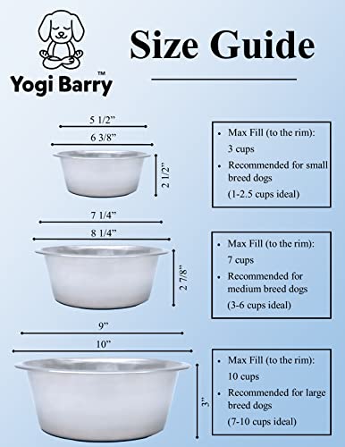 Stainless Steel Dog Bowl Set of 2 with Silicone Non-Skid Base Z504382