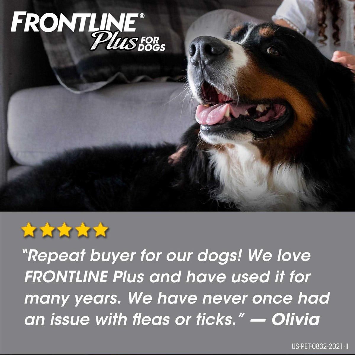 Flea Tick Dogs Q968848