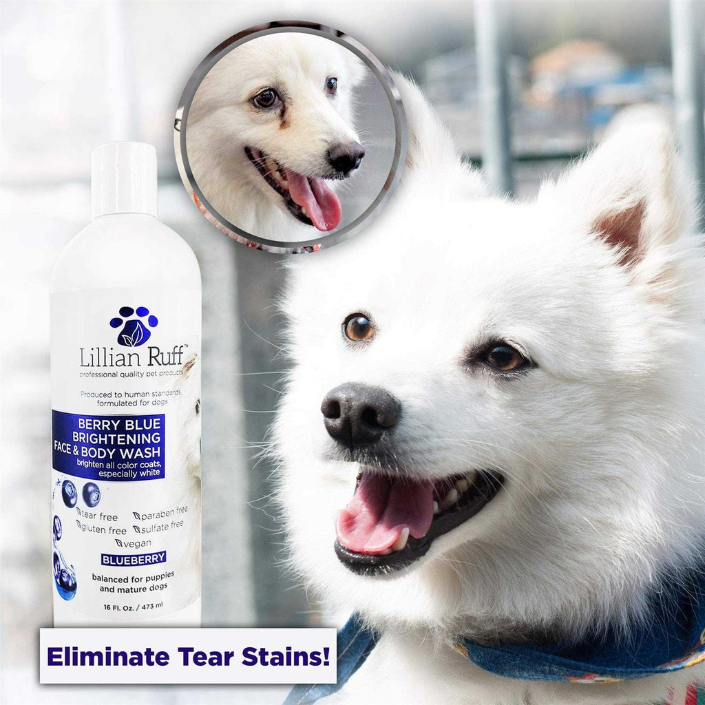 Berry Blue Brightening Face and Body Wash for Dogs and Cats K12608