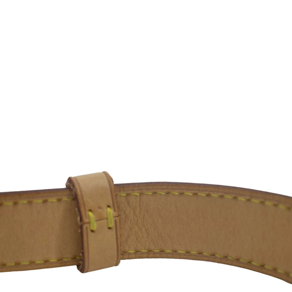 Pre-owned Monogram Canvas Bumbag F229