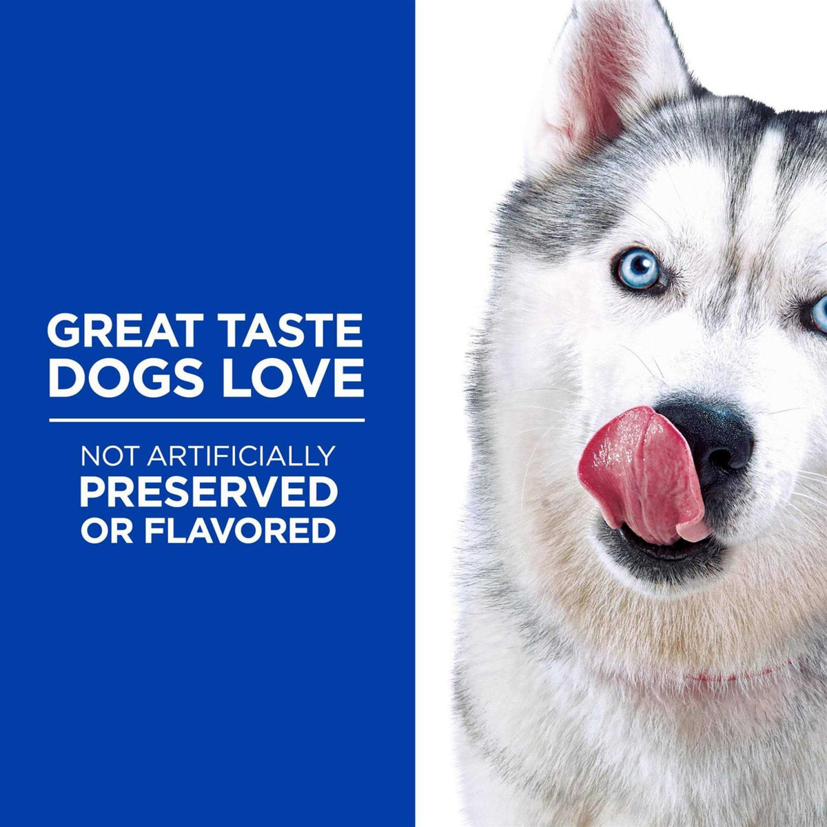 Grain Free Dog Treats R9230