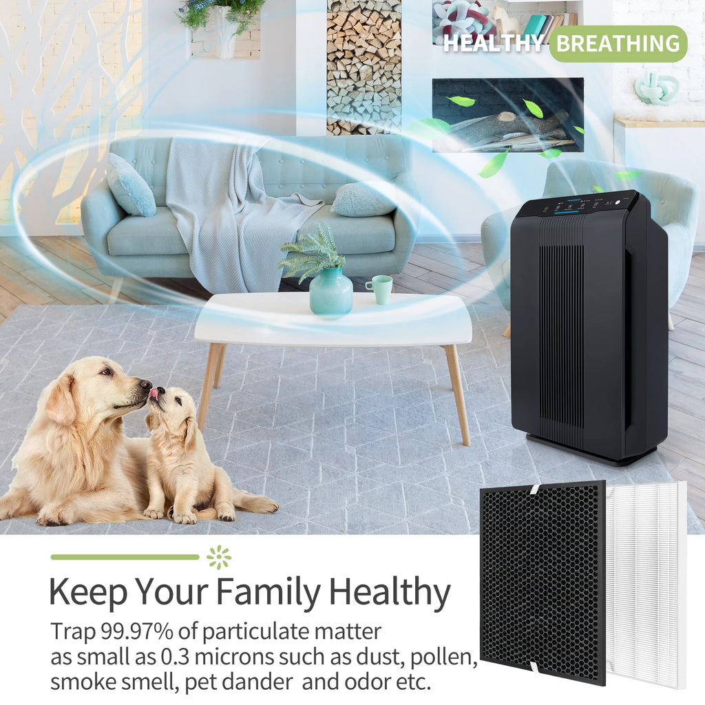 2 Sets H13 HEPA and Activated Carbon Filters K898387