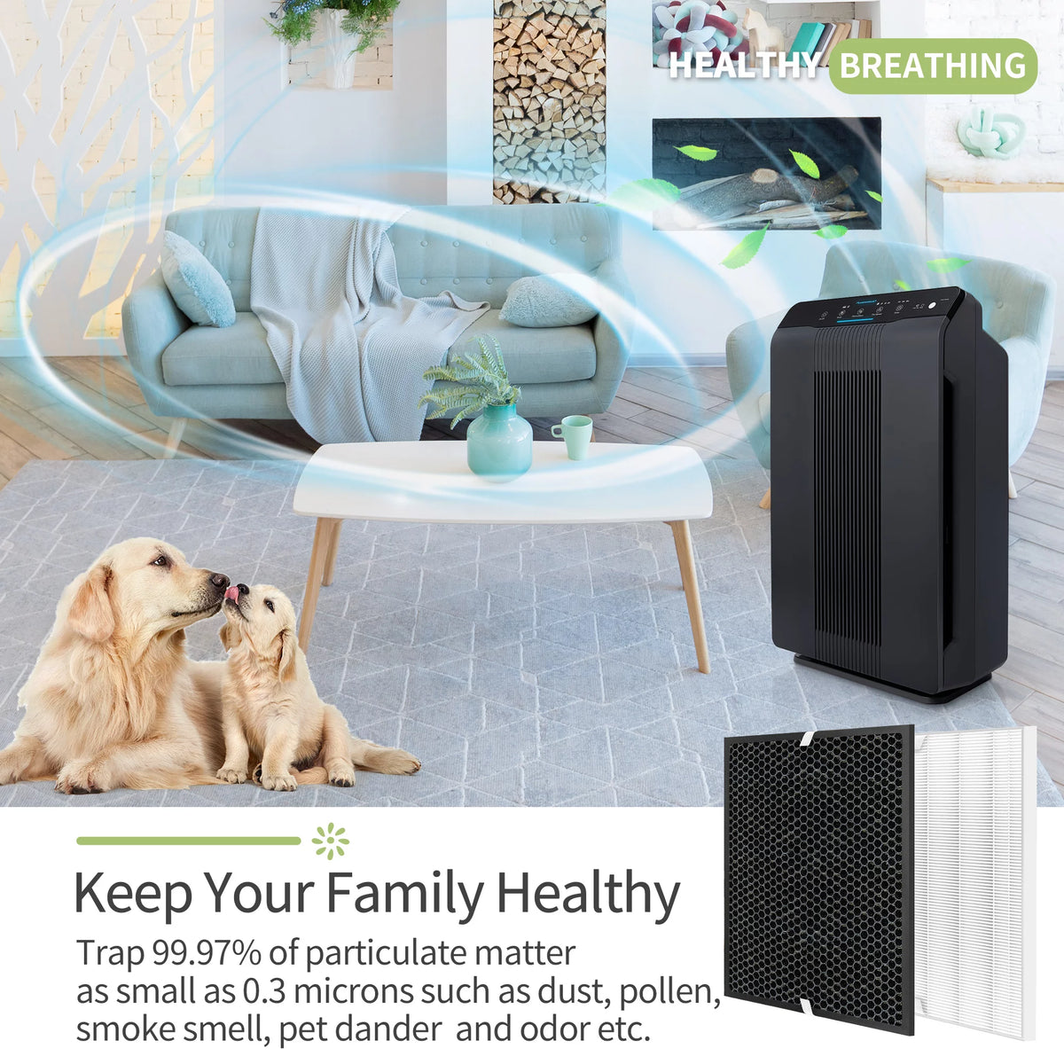 2 Sets H13 HEPA and Activated Carbon Filters K898387