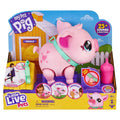 My Pet Pig O3854