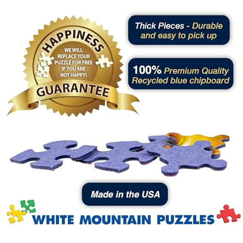 1000 Piece Jigsaw Puzzle 24"x30" Large Pieces O6691