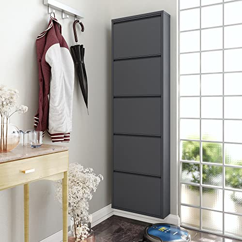 5 Tier Metal Shoe Cabinet with Cover, Anthracite W5860