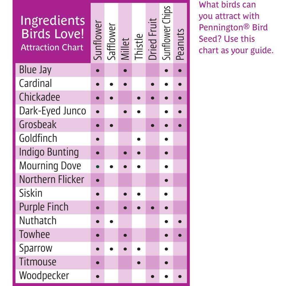 Ultra Fruit & Nut Blend Wild Bird Seed and Feed L296711