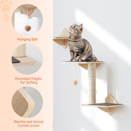 Natural Wood Cat Wall Shelves Set of 5 with House Steps Scratching Post Perch M940293