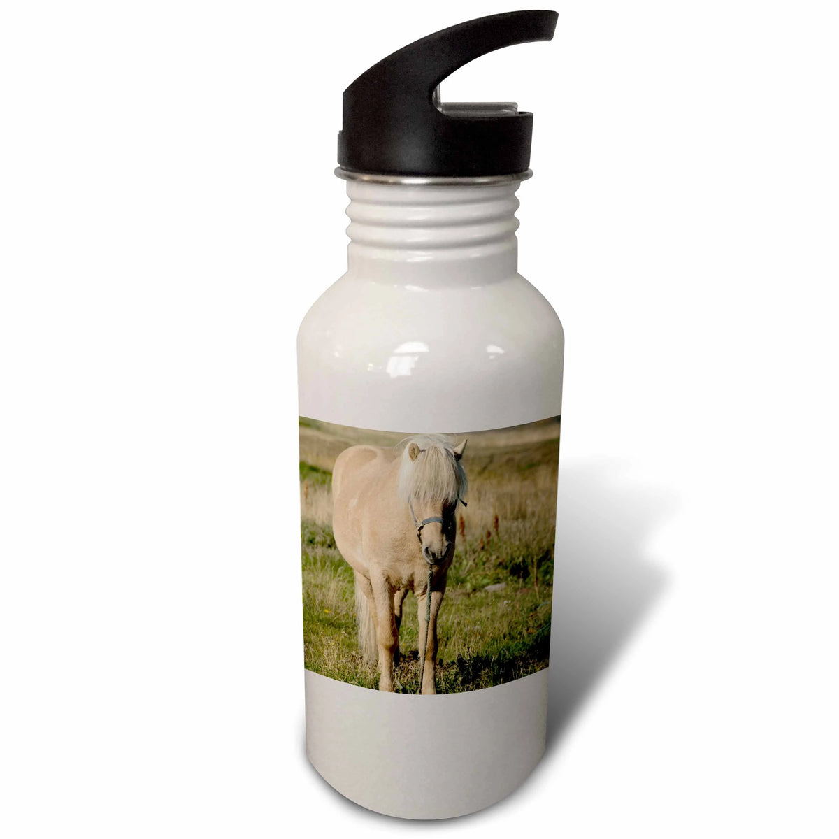 Sports Water Bottle R51337