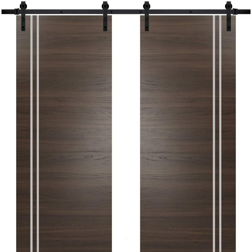 Double Barn Door 36 x 80 inches with Frosted Glass D675