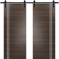 Double Barn Door 36 x 80 inches with Frosted Glass D675
