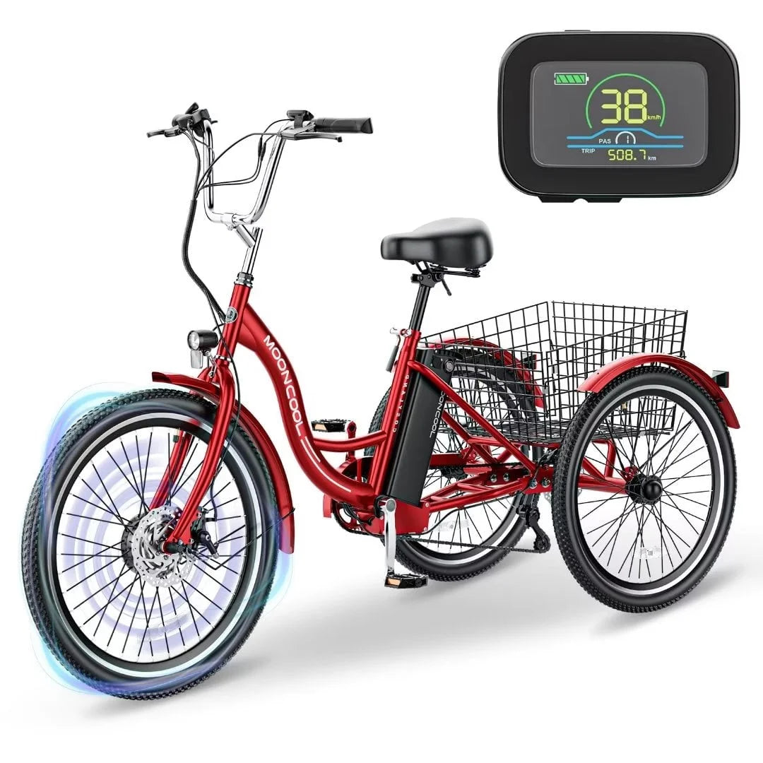 3 Wheel 500W Electric Trike C160511