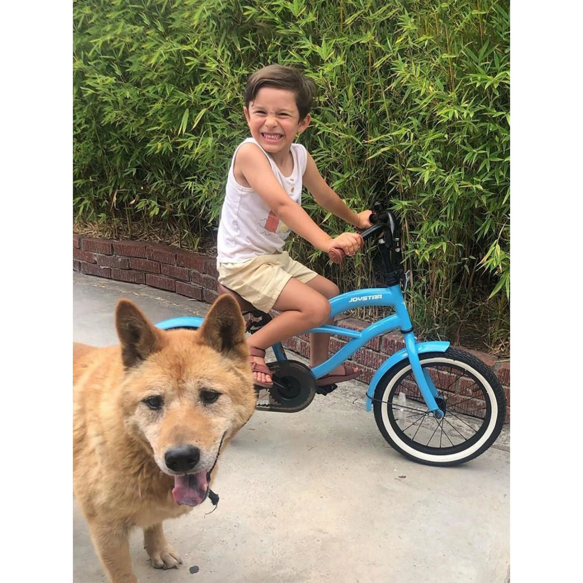 16 Inch Kids Toddler Bicycle with Training Wheels I9479