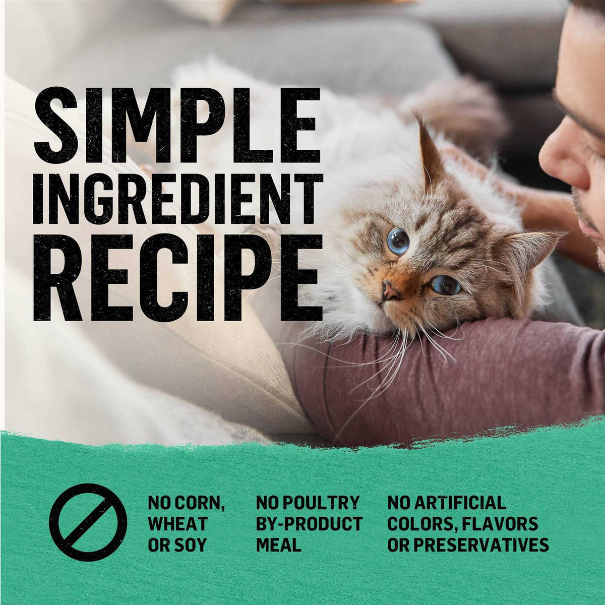 Grain Free Dry Cat Food X668