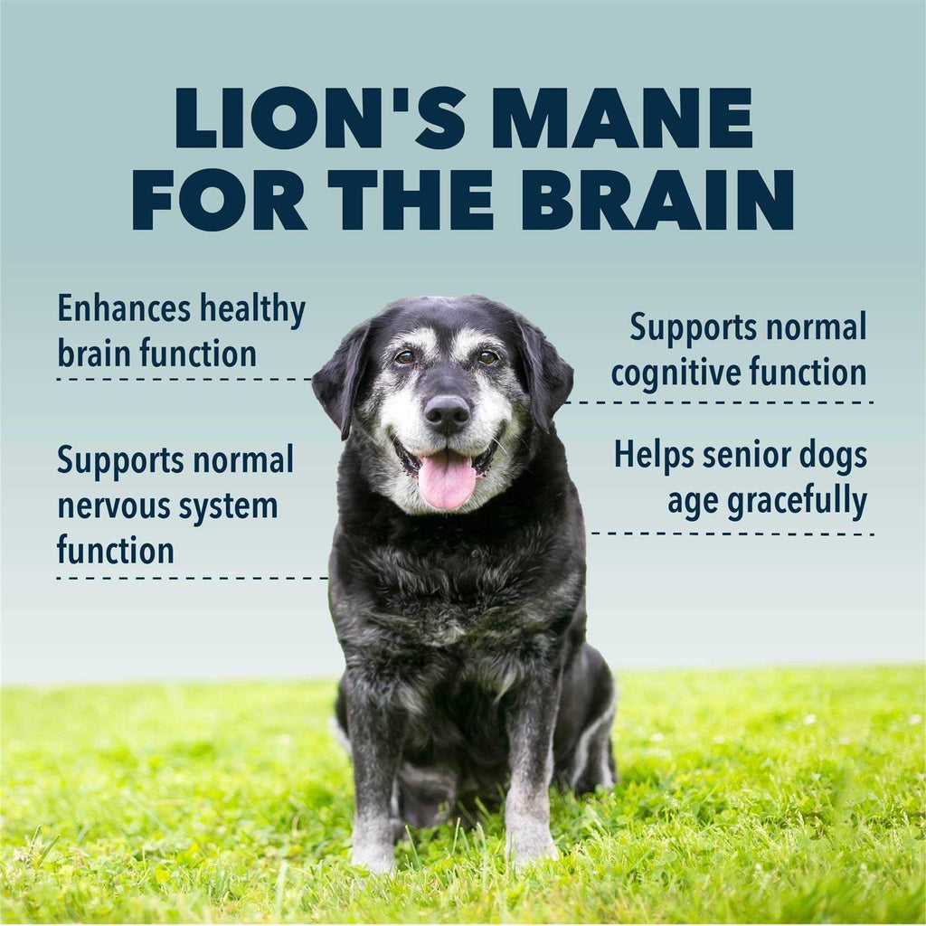 Organic Mushroom Extract for Dogs T480152