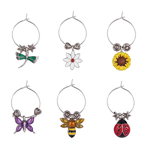 Multicolor Set of 6 Wine Charms O634000