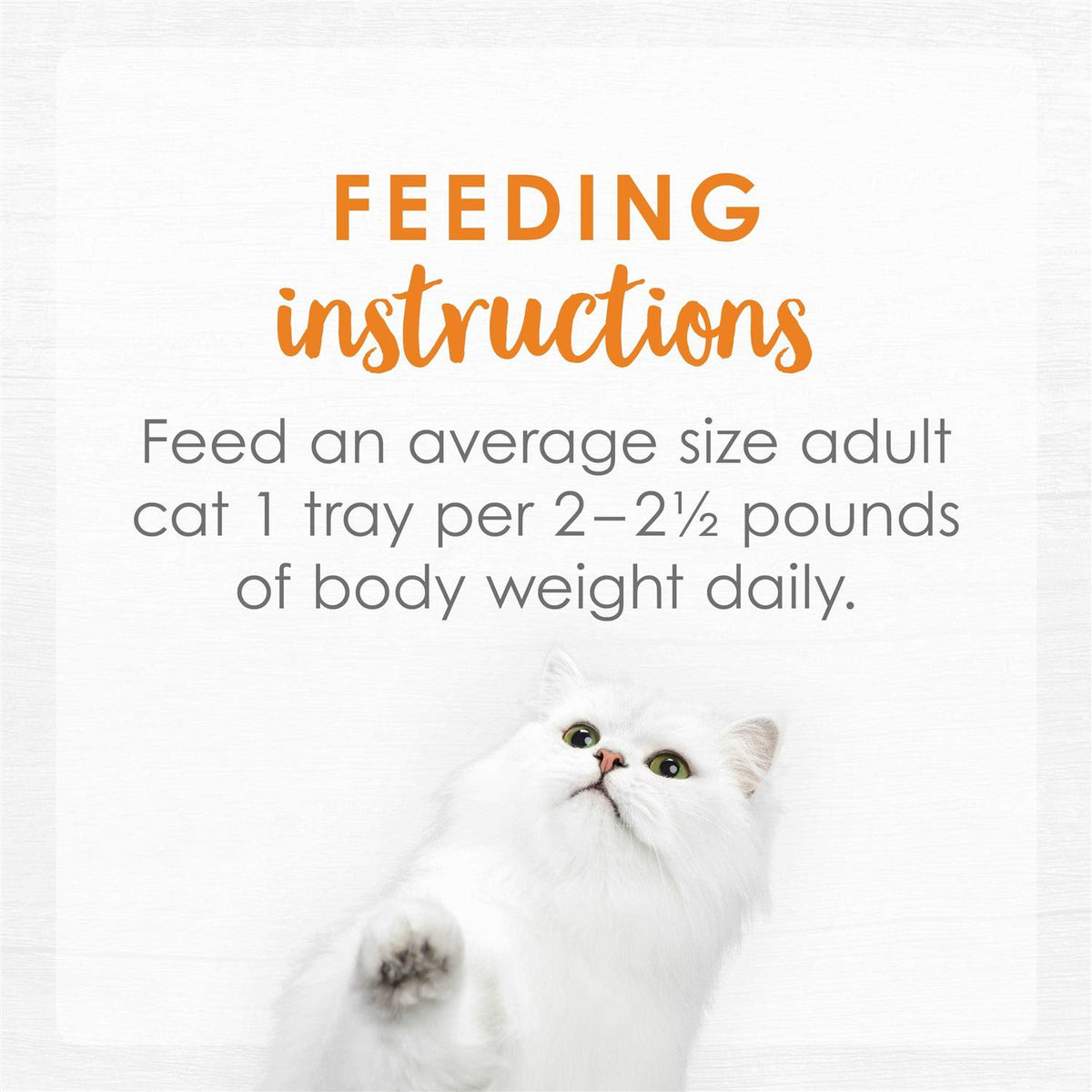 Cat Food F51720
