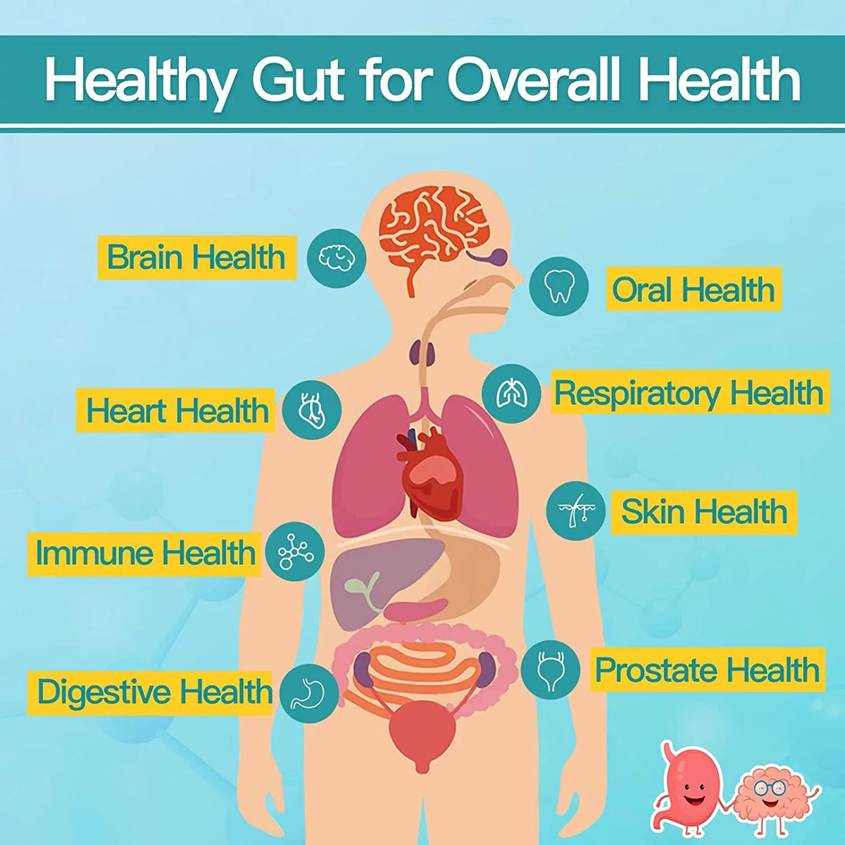 Probiotics for Men 60 Billion CFUs 14 Strains 90 Tablets Y816