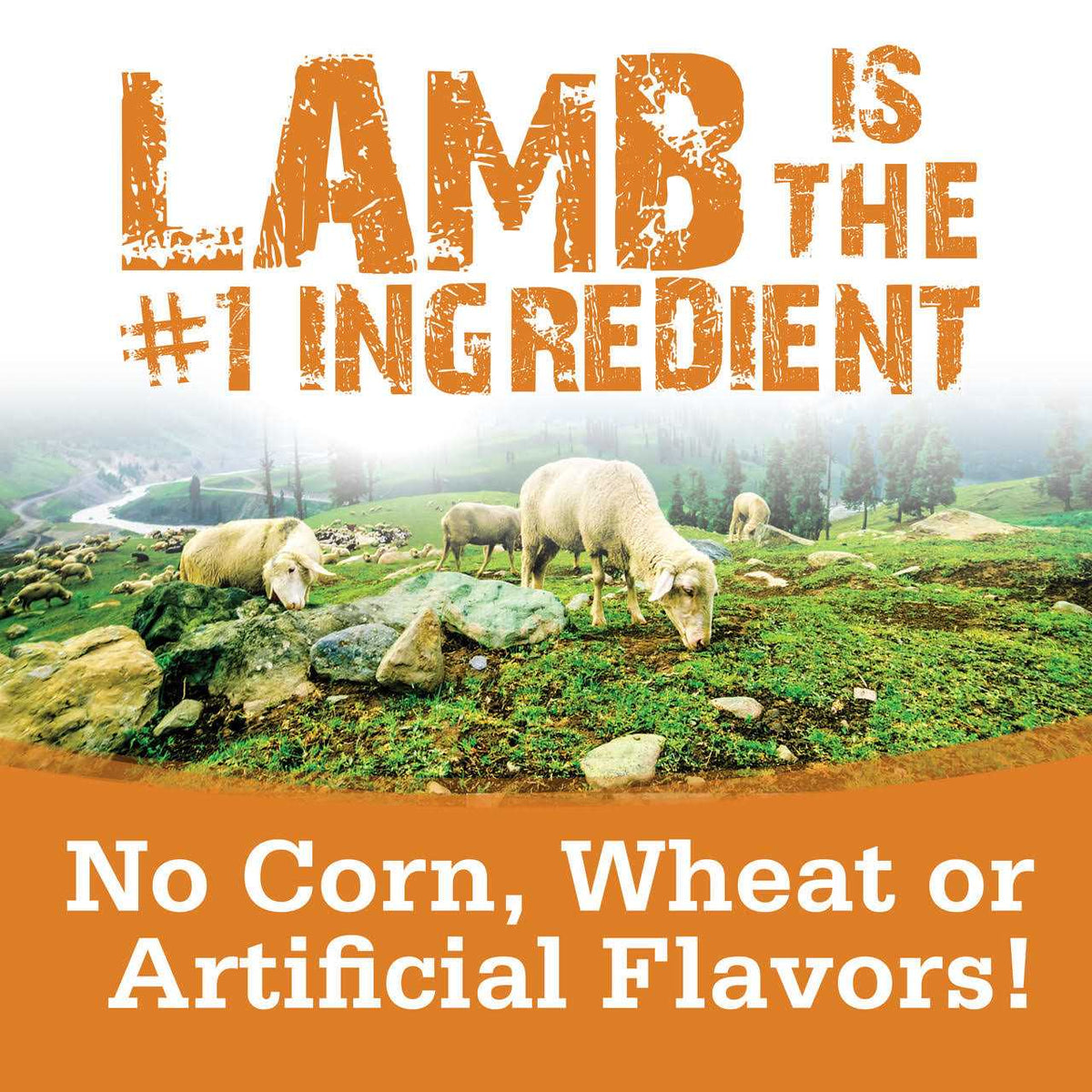 Soft & Tender Lamb Dog Treats V32621