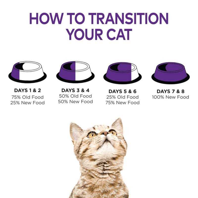 Cat Food Z7348