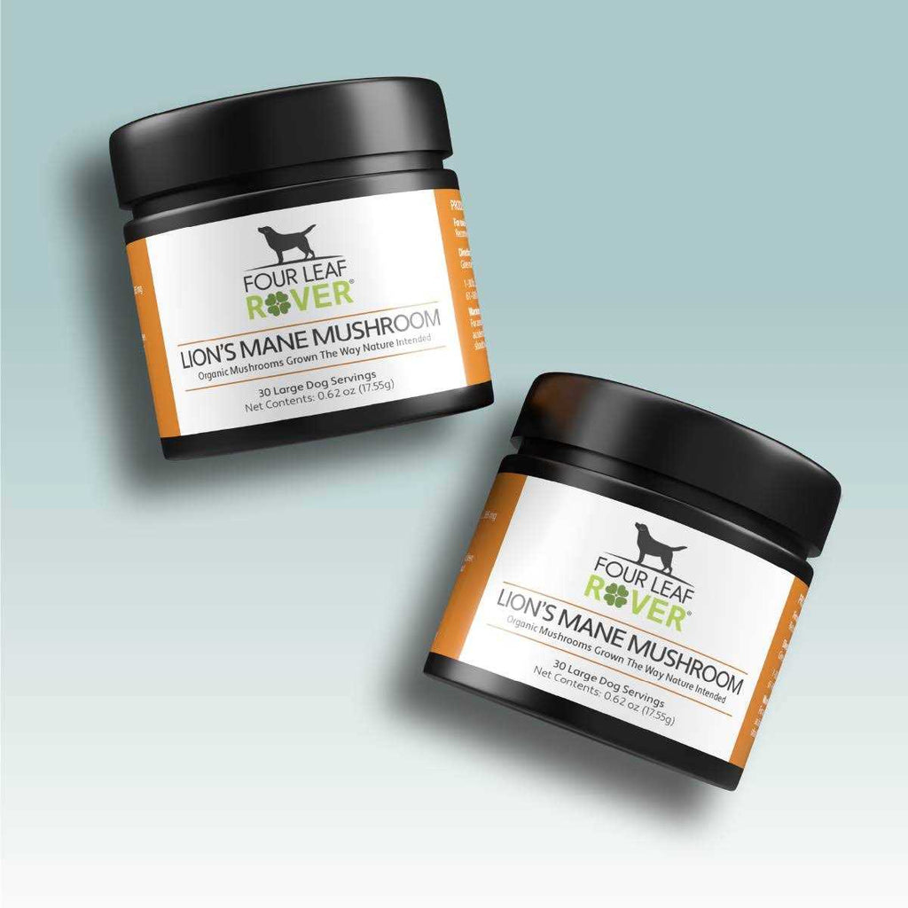Organic Mushroom Extract for Dogs T480152