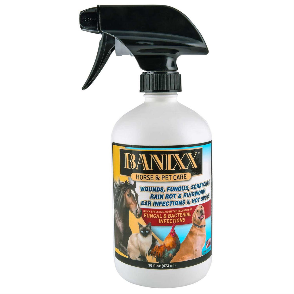Pet Supplies I652272