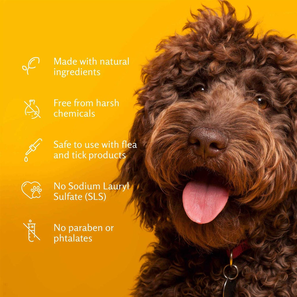 Deodorizing Dog Shampoo D903