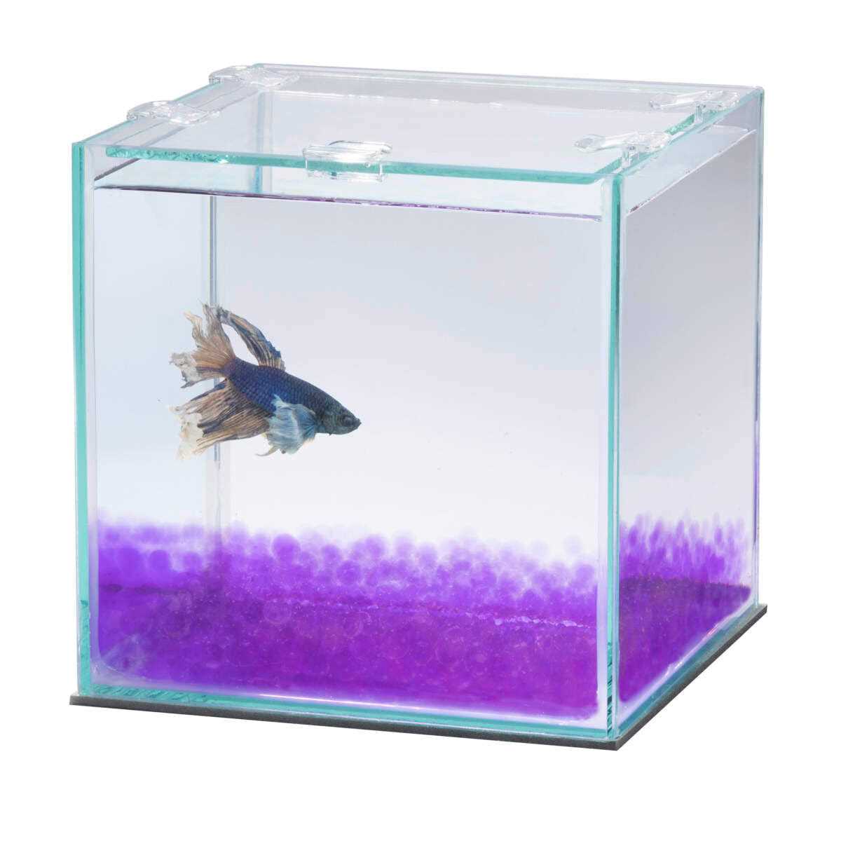 Betta Beads F638