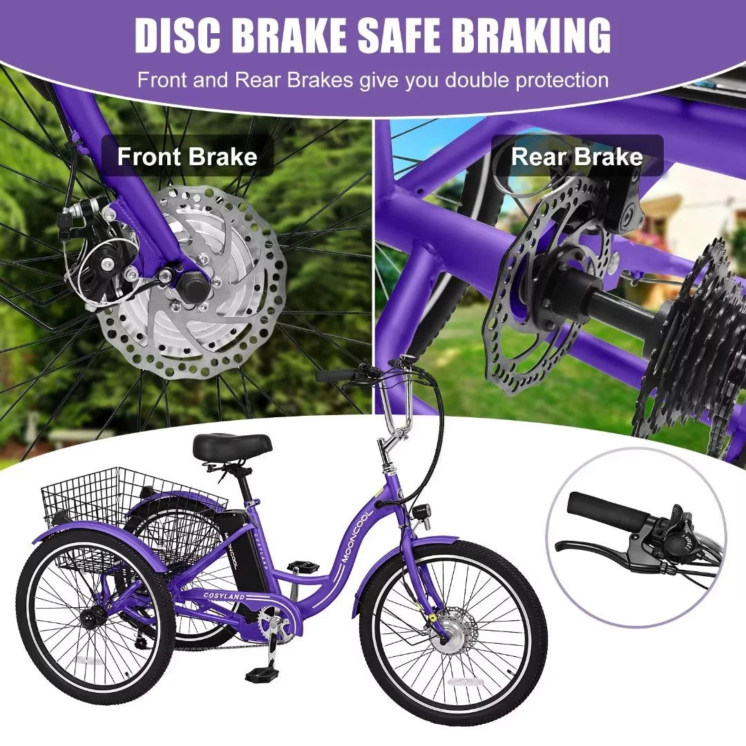 3 Wheel 500W Electric Trike C160511