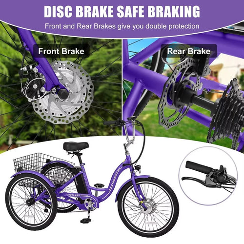 3 Wheel 500W Electric Trike C160511