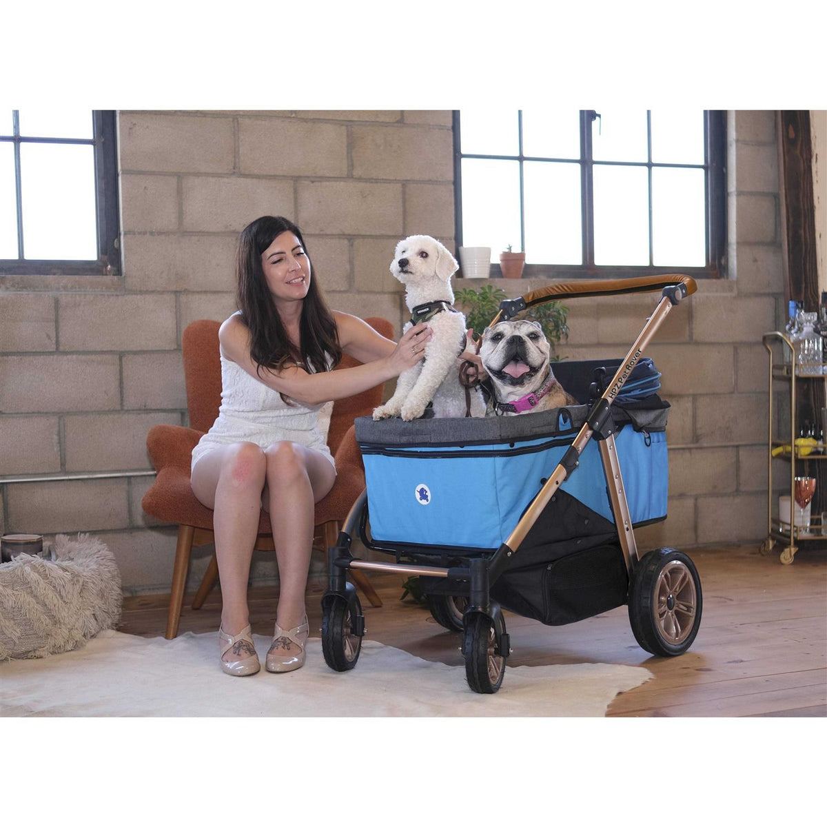 Pet Stroller K502