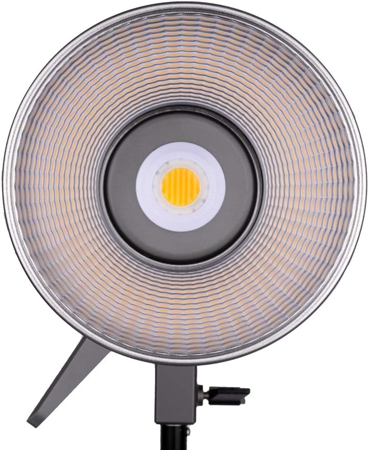 Bi-Color LED Video Light E2398