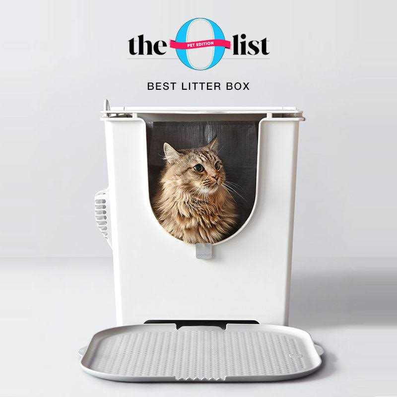 Flip Litter Box with Scoop and Reusable Liner X309