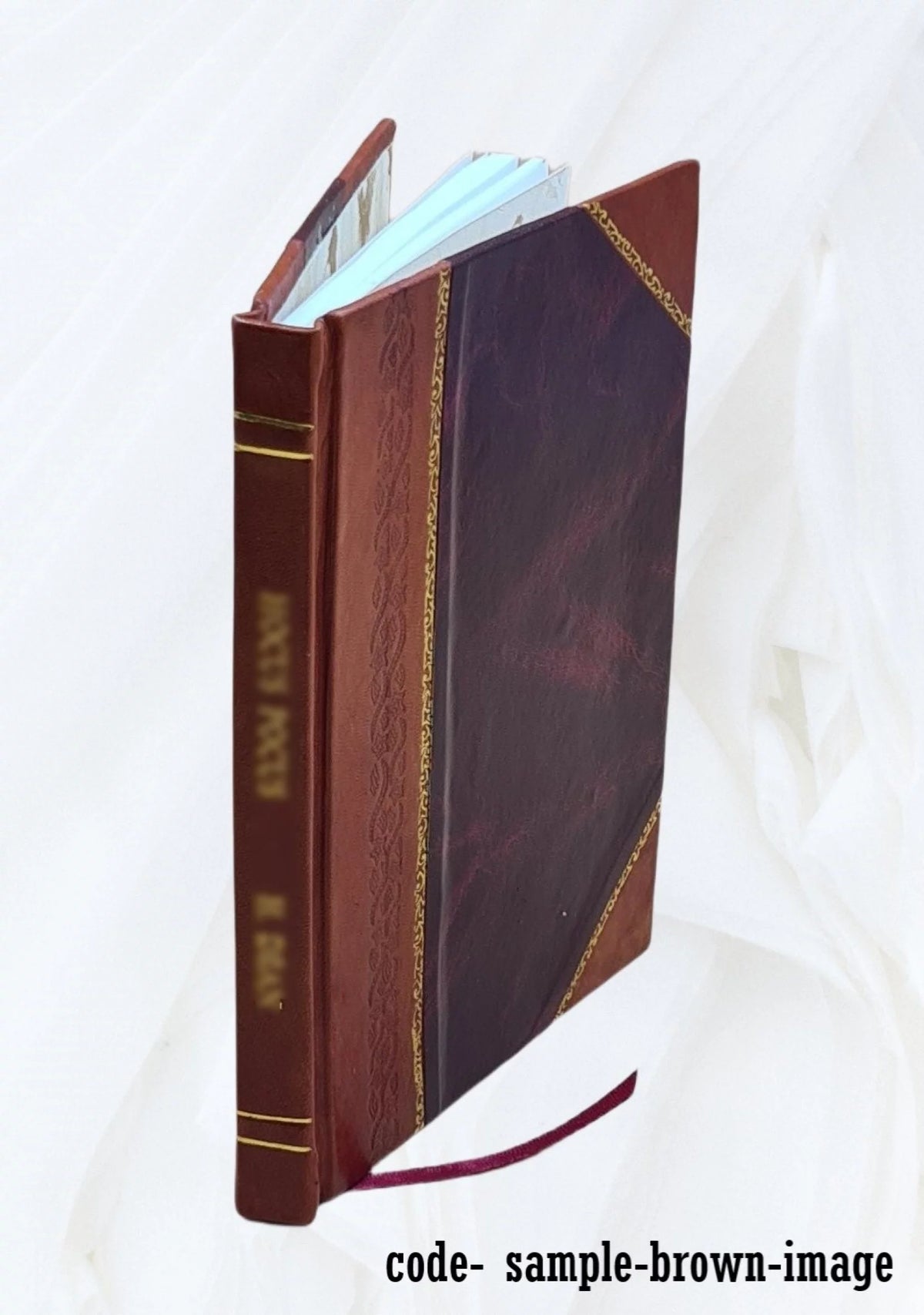 Leather Bound Z138