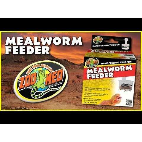 Hanging Mealworm Feeder D3552